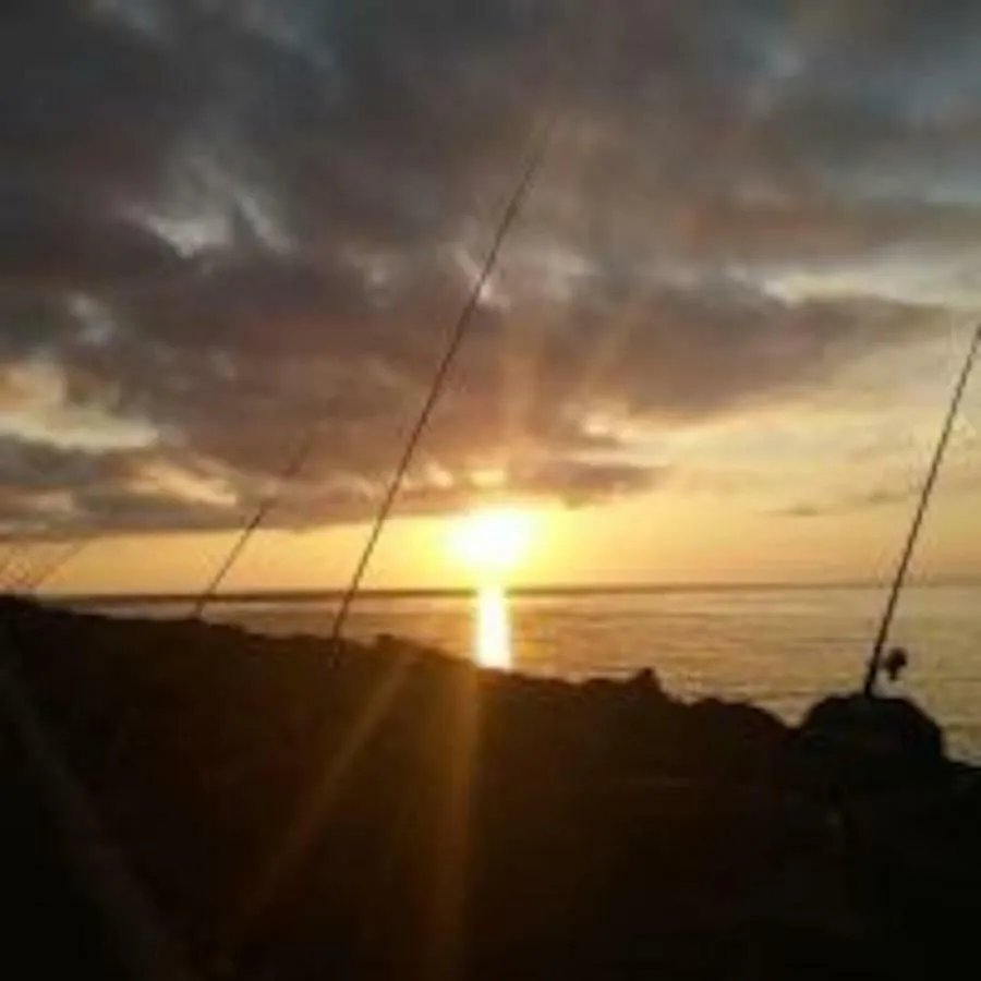 Sunset House Apartment Fiumicino